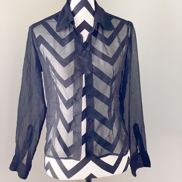Express Tops - Sheer Black Long Sleeve Blouse
